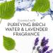 Olay Fresh Outlast Purifying Birch Water & Lavender Body Wash 13.5 Oz - Refreshing Cleanser - Buy Online on GoSupps.com