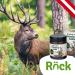 Buy Original R ck Hirschtalg Ointment | Soothing Foot Care from Austria - Prevent Blisters Calluses & Corns - Buy Online on GoSupps.com