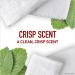 Old Spice High Endurance Hair + Body Wash for Men - Crisp Scent - 18 fl oz (Pack of 1) - Buy Online on GoSupps.com