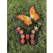 Fusha Cosmetics Monarch Butterfly Eyeshadow Pallete