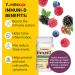 YumVs Elderberry Gummies with Vitamin C & D - Triple Defense, 60 Berry-Flavored Gummies (25 mcg1000 IU) - Buy Online on GoSupps.com
