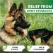 Tummy Relief for Dogs - Fast-Acting Diarrhea Treatment & Stomach Settler - Gut Health Supplement - Liquid Medicine for Upset Stomach - 250ml - Buy Online on GoSupps.com