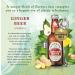 Fentimans Ginger Beer 4 x 200ml - Buy Authentic Craft Brewed Ginger Beer Online - International Shipping Available - Buy Online on GoSupps.com