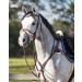 ARBO-INOX Breastplate Leather 5-Point Harness with Martingale - Cob Black | International Shipping Available - Buy Online on GoSupps.com