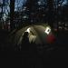 LuminAID PackLite 16 Inflatable Solar Light  Clear  One Count - Buy Online on GoSupps.com