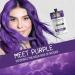 Splat Naturals Purple Semi-Permanent Hair Color 6 fl. oz. | 95% Natural Vegan Cruelty-Free | Lasts Up to 30 Washes | Nourishing with Quinoa & Baobab Extracts - Buy Online on GoSupps.com