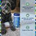 PL360 Pet Odor Neutralizing Carpet Powder - 16 oz | Eco-Friendly Pet Smell Eliminator for Carpets | Natural and Safe Formula - Buy Online on GoSupps.com
