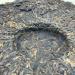2002 Yunnan Gaoligong Mountain Wild Raw Pu-erh Tea Cake 357g - Buy Online on GoSupps.com