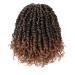 Pre-looped Passion Twist Crochet Hair 10 Inch 8 Packs T1B/30# - Short Hair Extension - Buy Online on GoSupps.com