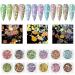 Professional Acrylic Nail Kit with Glitter Powder & False Nail Tips - Starter Set 01 - Buy Online on GoSupps.com
