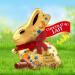 Lindt - Moulage LAPIN OR Edition Solidaire - Chocolat au Lait - Id al pour P ques 200g Lait Solidaire - Buy Online on GoSupps.com
