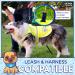 High Visibility Reflective Fleece Dog Coat - Leash Hole 5 Sizes | Safe Outdoor Wear for Day & Night - Yellow M - Buy Online on GoSupps.com