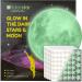 Glow in The Dark Stars for Ceiling Glow in The Dark Stars and Moon Wall Decal for Child's Rooms Wall Decor 220 Big Bright Fluorescent Stars Perfect for Kids Nursery Bedroom (Green) - Buy Online on GoSupps.com
