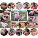 Jecikelon Soft Thickening Dog Sweater - Medium Pink | Warm Winter Puppy Shirt for Dogs - Buy Online on GoSupps.com