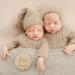 Prinzental 30 Baby Milestone Cards for Twins | Elegant Wooden Discs | Unique Gift for Twin Births - Buy Online on GoSupps.com