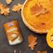 America's Finest 100% Pure Pumpkin Puree - 425g Tin (Pack of 1) - Buy Online on GoSupps.com