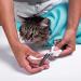 PURRFECT POUCH The Original Cat Carrier Sling & Grooming Sack Set | As Seen On TV | Washable & Foldable | Teal (Set of 2) - Buy Online on GoSupps.com