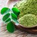 200g Poudre de Moringa PREMIUM PLUS - Feuilles de Moringa en Poudre - Nutritive - 100% Naturel Pur et Sans Additifs - TazarinLtd - Buy Online on GoSupps.com