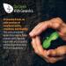 Genestra Brands Zinc Picolinate Formula - Immunity & Skin Support | 60 Capsules - Buy Online on GoSupps.com