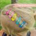 Paper Dragons 200 Hair Clips & Ties | Durable Hair Accessories for Fine & Long Hair | Children's Spectacle Storage Box | Multi-Color Options - Buy Online on GoSupps.com