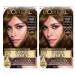 L'Oreal Paris Superior Preference Fade-Defying + Shine Permanent Hair Color  U163 Hi-Lift Golden Brown  Pack of 2  Hair Dye Blacks & Browns UL63 Hi-Lift Golden Brown 2 Count (Pack of 1)