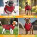 Lovpet Dog Jacket & Coat - Waterproof Padded Winter Vest with Reflectors D-Ring & 45 Feces Bags - 2XL Bordeaux Red for Dogs - Buy Online on GoSupps.com