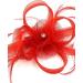 Ladies Feather Beak Clip Fascinator Weddings Races Royal Ascot Hair Piece Clip Red - Buy Online on GoSupps.com