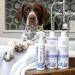 Isle of Dogs Keratin Volume Conditioner 16oz - MultiColor (830-16) - Buy Online on GoSupps.com