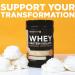 TransformHQ Whey Protein Isolate - Chocolate Flavor | 7 Servings Performance Protein Powder for Enhanced Gains - Buy Online on GoSupps.com