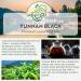 Yunnan Black Premium Loose Leaf Tea - 100g - Buy Online on GoSupps.com