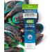 Optima MusselEx Gel Natural Cruelty Free Green Lipped Mussel Extract Tissue & Joint Massage 125 ml (Pack of 2) - Buy Online on GoSupps.com