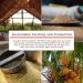 Buy Big Tree Farms Organic Brown Coconut Sugar 1 lb - Pure & Natural Sweetener - Buy Online on GoSupps.com