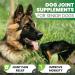 Senior Dog Joint Supplements - Glucosamine & Chondroitin - Pain Relief & Mobility Support - 120 Chicken Flavour Tablets - Buy Online on GoSupps.com