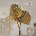 Natural Dried Palm Leaves Decor - Rustic Boho Home Farmhouse Decor - Vase Fillers and Wall Decor Set - Buy Online on GoSupps.com