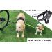 Bike & Dog: Patented Dog Leash & Harness for Biking | 3-Ring Dishes Included - Buy Online on GoSupps.com