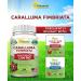 Caralluma Fimbriata 1200mg - 180 Capsules | Natural Weight Loss Diet Pill | Appetite Suppressant & Energy Booster | Max Strength Fat Burn | Plant Root Extract - Buy Online on GoSupps.com