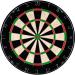 Bristle Dart Board, Tournament Sized Indoor Hanging Number Target Game for Steel Tip Darts- Dartboard with Mounting Hardware by Hey! Play!