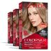 Permanent Hair Color by Revlon Permanent Blonde Hair Dye Colorsilk with 100% Gray Coverage Ammonia-Free Keratin and Amino Acids Blonde Shades (Pack of 3) 70 Medium Ash Blonde