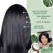Clairol Natural Instincts Demi-Permanent Hair Dye 4 Dark Brown - Pack of 3 - Buy Online on GoSupps.com
