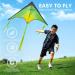 JOYIN Large Delta Kite Multi-Pack - Easy-to-Fly Huge Kites for Kids and Adults - Perfect for Outdoor Games and Activities - (1/2/3 Packs) Green/Purple/Orange - Buy Online on GoSupps.com