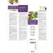 Buy Mary Thistle Tincture (Silybum Marianum) - Vegan Alcohol-Free Herbal Extract 200ml | Natural Dietary Supplement - International Shipping Available - Buy Online on GoSupps.com