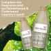 Eco-Mate - Sandalwood & Cedarwood Concentrated Fabric Conditioner - 500ml (Pack of 3) - Eco Friendly - 100% Plant-Based Biodegradable Fabric Softener - Natural Ingredients - Refreshing Pure Fragrance - Buy Online on GoSupps.com
