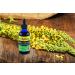 Dr. Rydland's Herbal Sinus & Allergy Relief - 2oz Liquid Formula - Buy Online on GoSupps.com