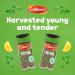 Schwartz Thyme 11g | Premium Quality Single Herb Spice | Buy Online - Buy Online on GoSupps.com