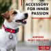 Waudog Adjustable Nylon Dog Collar - Large & Medium Dogs | Pink Watermelon 23-35 cm 15 mm Width | Durable & Stylish Neck Band for Puppies - Buy Online on GoSupps.com