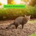 Cat Repellent & Training Spray Oil Blend - Makes 60+ Bottles, Stops Peeing, Digging & Scratching - Safe Indoor & Outdoor Deterrent - Buy Online on GoSupps.com