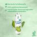 BAMBOO TREE Coconut Water - 12 x 500 ML Multipack - Refreshing Hydration | International Shipping Available - Buy Online on GoSupps.com