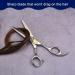 Filhome Professional Thinning Scissors for Dogs - Double Sided Stainless Steel Blades - Grooming Shears for Pets - Blue Crystal Screw - Buy Online on GoSupps.com