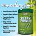 Garden Greens Celery Power 11.3oz - Supports Healthy Digestion | No Flavor - Buy Online on GoSupps.com