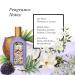 Gucci Flora Gorgeous Magnolia Perfume for Women EDP Mini Splash 0.16 Fl Oz 0.16 Fl Oz (Pack of 1) - Buy Online on GoSupps.com